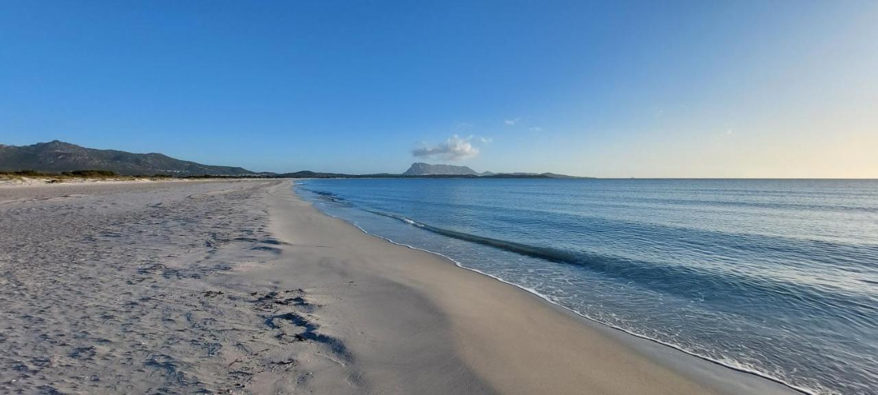 Appartamento Brigida Bilocale 2 Posti Vicino Al Centro San Teodoro  Bagian luar foto