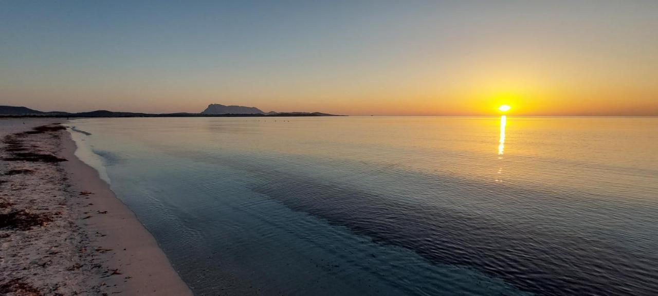 Appartamento Brigida Bilocale 2 Posti Vicino Al Centro San Teodoro  Bagian luar foto